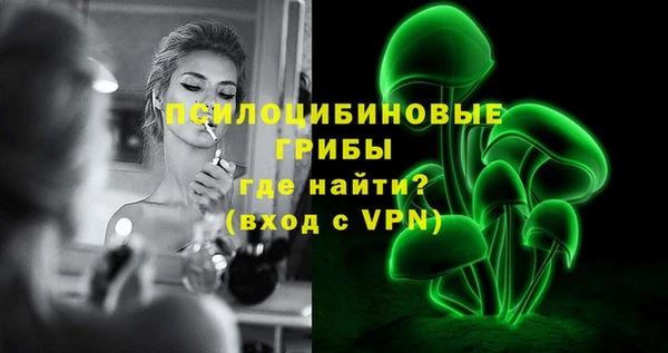 молекула духа Армянск