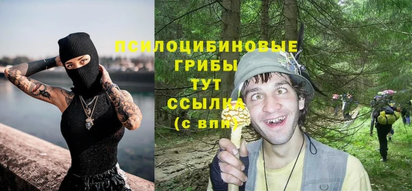 молекула духа Армянск