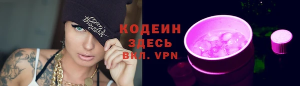 бошки Пересвет
