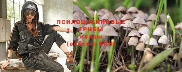молекула духа Армянск