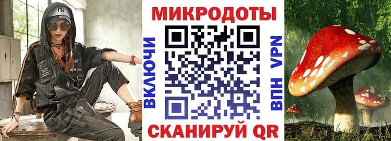 Псилоцибиновые грибы Psilocybe  kraken ссылки  Новоаннинский 